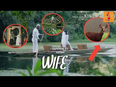 Harmonize ft lady jay Dee - Wife ( official video)