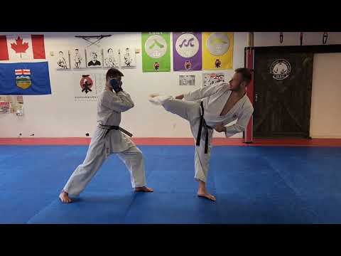 Mastering the Hook Kick: A Step-by-Step Tutorial for Karate @WKFKarateWorldChamps