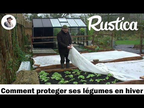 Protéger le sol pour avoir des légumes tout l'hiver