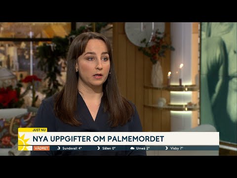 Nya uppgifter om Palmemordet — brevet som sticker ut i utredningen | Nyhetsmorgon | TV4 & TV4 Play
