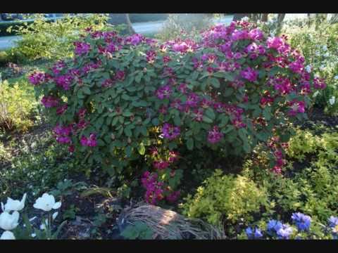 Marco goes Coldplay  - Lost Cover in a big hall   30 09 09