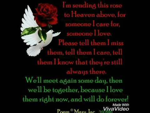 YoungRay x Drako ~Reminiscing