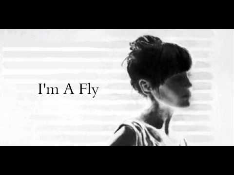 I'm A Fly video