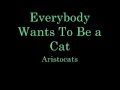 Everybody Wants To Be A Cat Lyrics