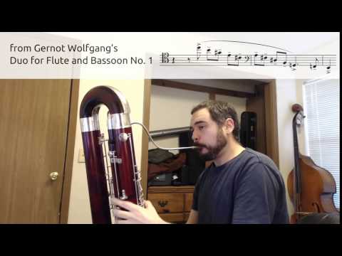 Excerpt from Wolfgang's Duo for Flute and Bassoon