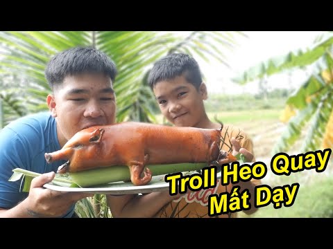 , title : 'TROLL Con Heo Mất Dạy Nhất VN Dám Troll TQ97 Và Cái Kết'