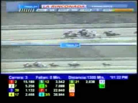 3ERA CARRERA DOMINGO 15 JULIO LA RINCONADA AUDIOHIPISMO