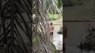 Download lagu mancing ambyar di kebun sawit #mancingambyar #fyp #viral #shorts mp3 Download lagu mancing ambyar di kebun sawit #mancingambyar #fyp #viral #shorts mp3