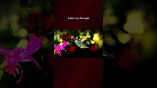 Download lagu TOP MUSIC SHORT (VERSION 1) I AM MY DANGER | VIDEO CLIP mp3