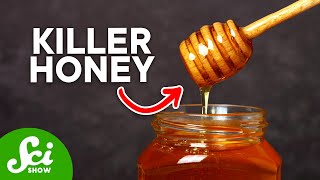 Honey: Bacteria's Worst Enemy