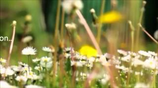 Trailer for Texas Cousins