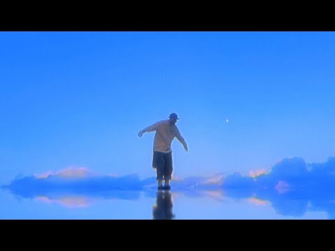 DL Blando, NAVN - Como Un Animal