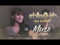 เท่าไหร่ไม่จำ มิ้วส์ อรภัสญาน์ Live Acoustic