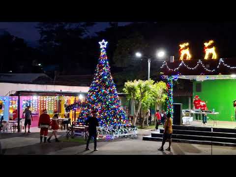 Inauguración de las luces navideña en nuevo edén de San Juan. ￼