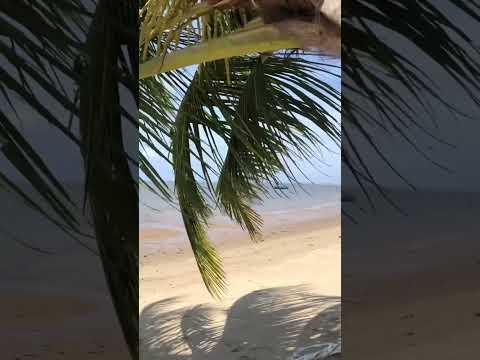 Alagoas Praia de Porto de pedra rota dos Milagres 🇧🇷