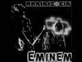 Rammstein & Eminem - My Name Is (Ramstein ...