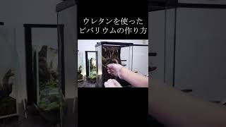 ウレタンで作るビバリウム│VIVARIUM #shrots