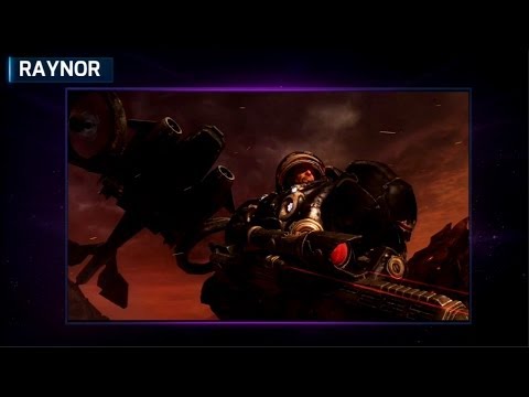 Heroes of the Storm - Raynor Hero Gameplay Explained