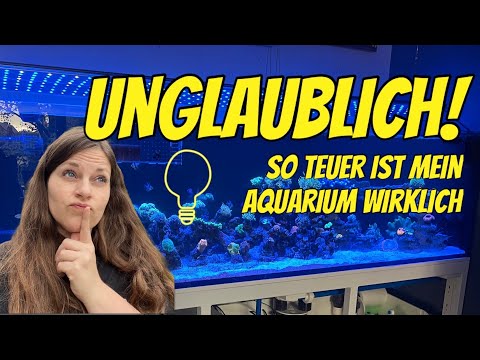 How much does my saltwater aquarium cost to run? Update: 1000-liter aquarium