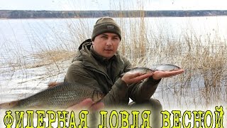 Какую прикормку для фидера использовать ранней весной