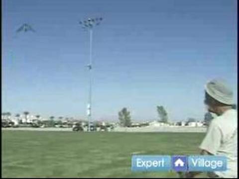 How to Fly Kites : How to Fly Two Line Delta Kites
