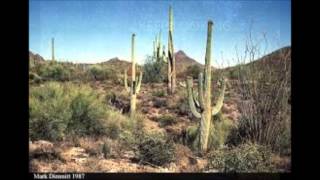 MISSING PERSONS MUSIC VIDEO5