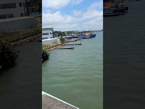 Cananéia litoral sul de São Paulo. #praia #pescaria #verão #litoral