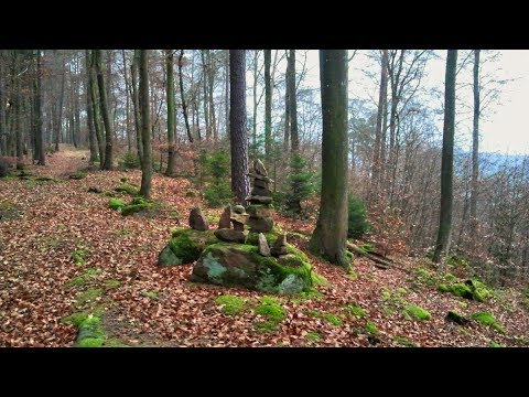 Pfädchentour in den Wäldern bei Elmstein-2019
