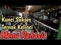 Kunci Sukses Ternak Kelinci Itu Hanya Satu Perhatikan Keterangan Sikat Ini