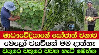 Download lagu “Journalist Turns Farmer with Sojan Method mp3