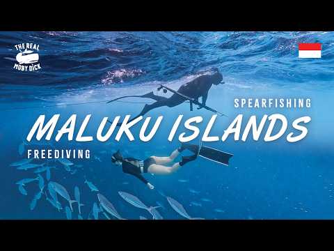 Maluku Freediving & Spearfishing | Ocean Beauty & Wild Pelagic Life