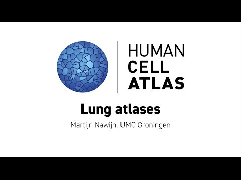 Hinxton 2018 - Lung atlases