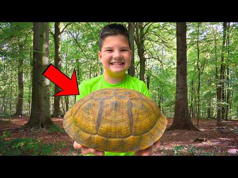 Caleb’s Secret Discovery! Finding a GIANT Turtle Shell in the Woods!