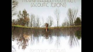 Robot Boy - The Ghost Of A Saber Tooth Tiger