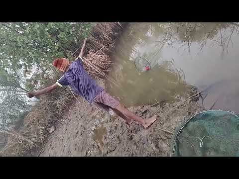 koknat chibori pakdnyachi maja