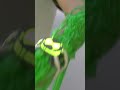 Ben 10 Wildvine Transformation In Real Life Ben10