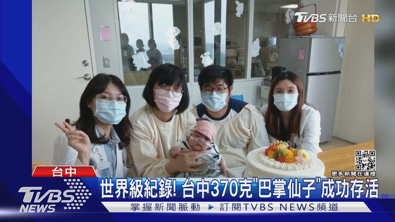 世界級紀錄! 台中370克「巴掌仙子」成功存活
