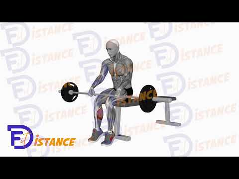 Exercice Relevé de mollets assis à la barre