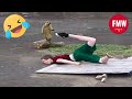 Funny & Hilarious People's Life 😂 #54 - Try not to Laugh | Funny Fails compilation 2024