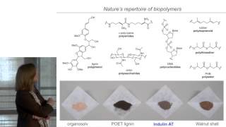 Materiales renovables y qumica a partir de plantas | Elizabeth Sattely