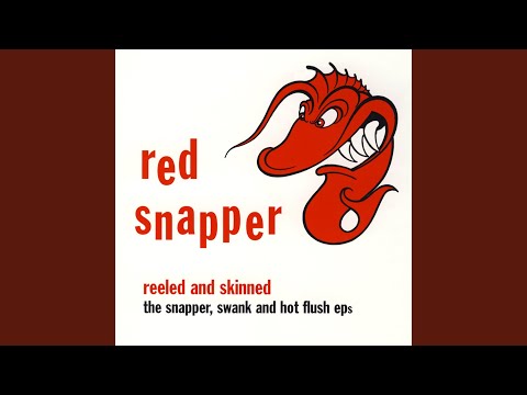 Hot Flush (Sabres Of Paradise Remix)