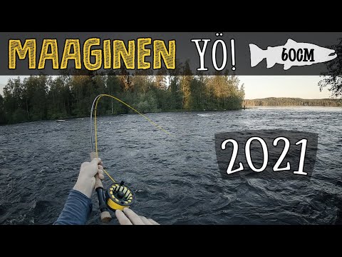 60 SENTTISIÄ! | Taimenen perhokalastus Keihärinkoskella | Kalastus 2021