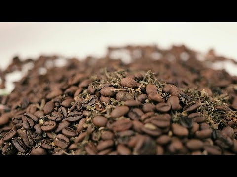 Cannabis-Kaffee – Indonesiens berauschende Röstmischung | AFP