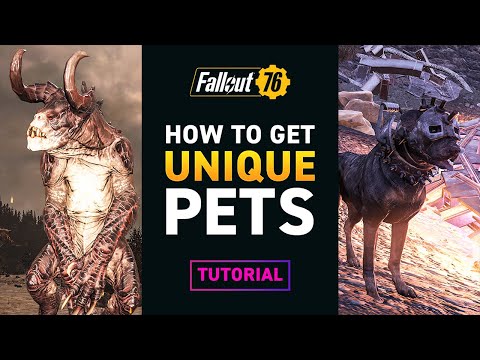 UNIQUE PETS for your CAMP – Fallout 76 Tutorial