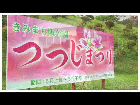 【能代市】きみまち阪桜・つつじ