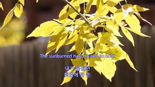 Autumn Leaves - Andy Williams: Greenwood Village, Colorado on Oct. 8, 2017