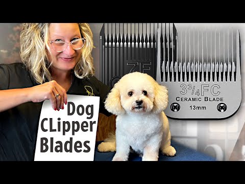 Dog Grooming Clipper Blades-Everything You Need to Know