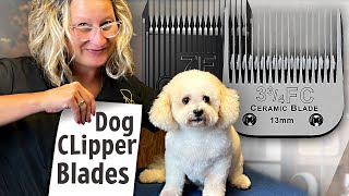 Dog Grooming Clipper Blades-Everything You Need to Know