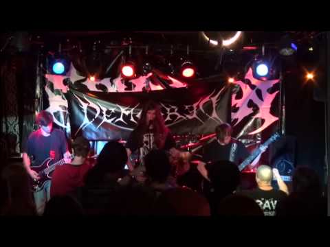 Demored - Putrefy live (2014)