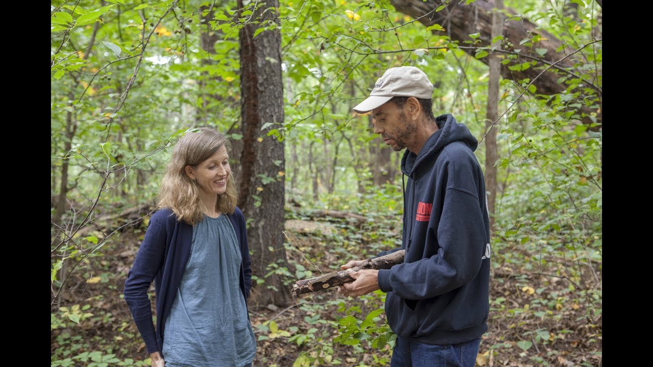Finding Faith in the Forest: Stories Happen in Forests